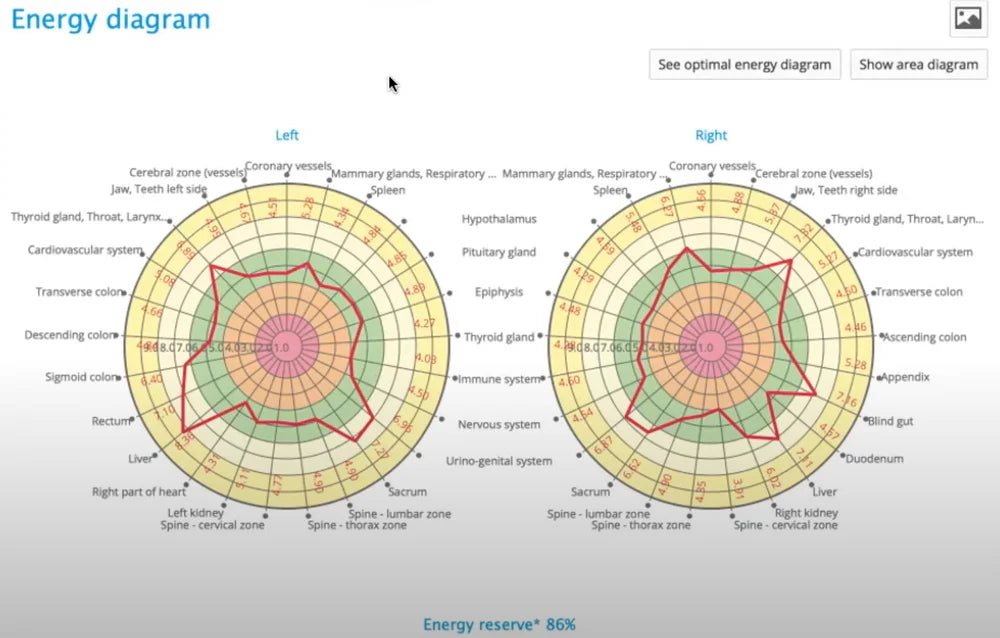 Bio-Well 3.0 Energy Assessment Device — GDV Digital Biofield Scanner for Wellness Professionals