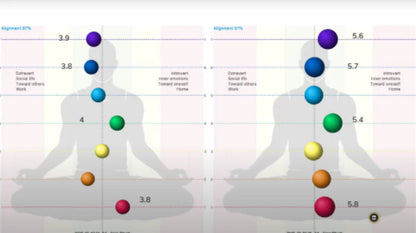 Bio-Well 3.0 Energy Assessment Device — GDV Digital Biofield Scanner for Wellness Professionals