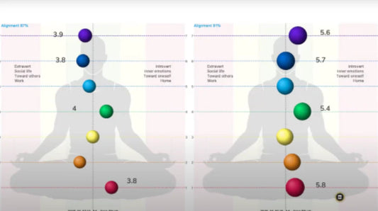 Tranzendant Vitality Program™: The 90-Day Tranzendant Vitality Blueprint™ – Bio-Well Energetic Mapping • Daily Hydrogen Therapy • Weekly 1:1 Coaching (Money-Back Guarantee)