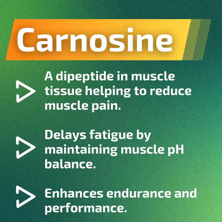 LactiGo Performance & Recovery Gel (100 mL) – Carnosine & Magnesium Topical for Muscle Recovery & Enhanced Athletic Performance